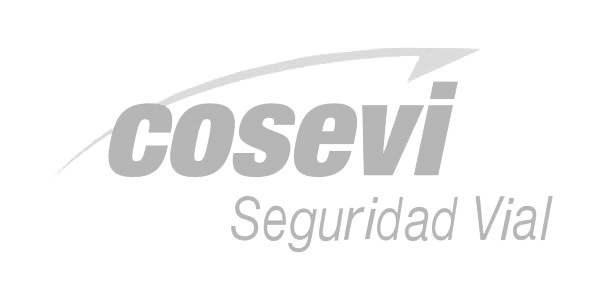 Logo del Consejo de Seguridad Vial