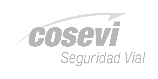 Logo de Consejo Nacional de Seguridad Vial COSEVI