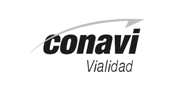 Logo del Consejo Nacional de Vialidad - CONAVI