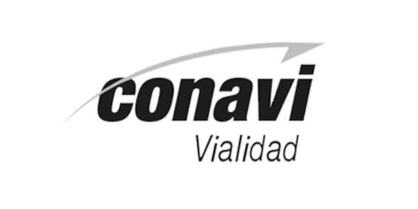 Logo del Consejo Nacional de Vialidad - CONAVI